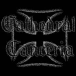 logo Cathedral Canceria